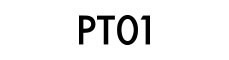 PT